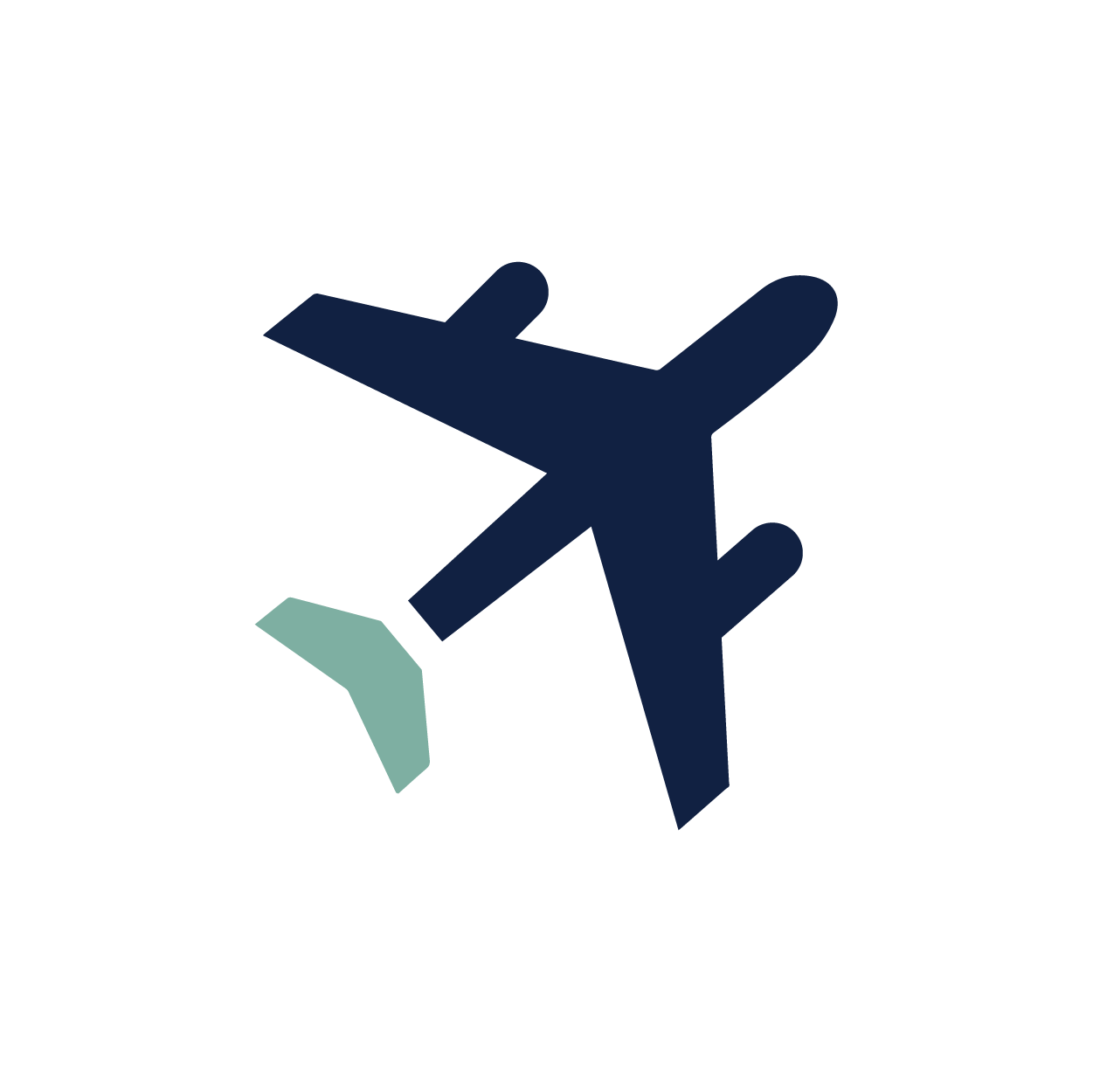 Prize Icon_Plane sage