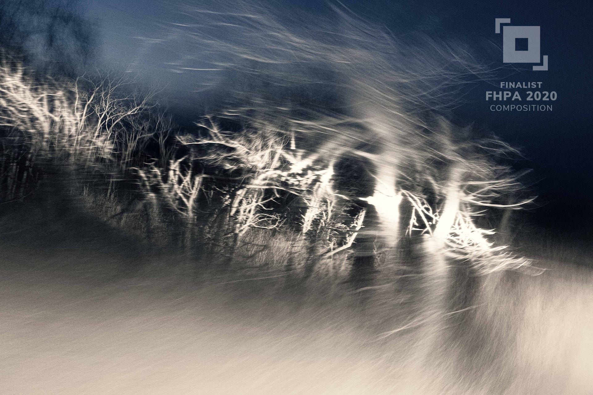 Compositon Finalist, Kruger Nightspotting by Nicole Marie